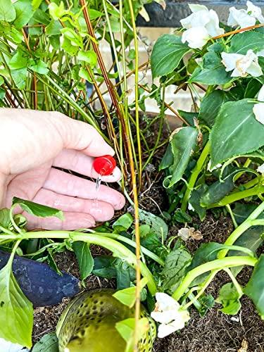 Miniatura de Rain Bird SWDMSPKIT: Kit de Riego por Goteo Localizado con Estaca y Emisores 8