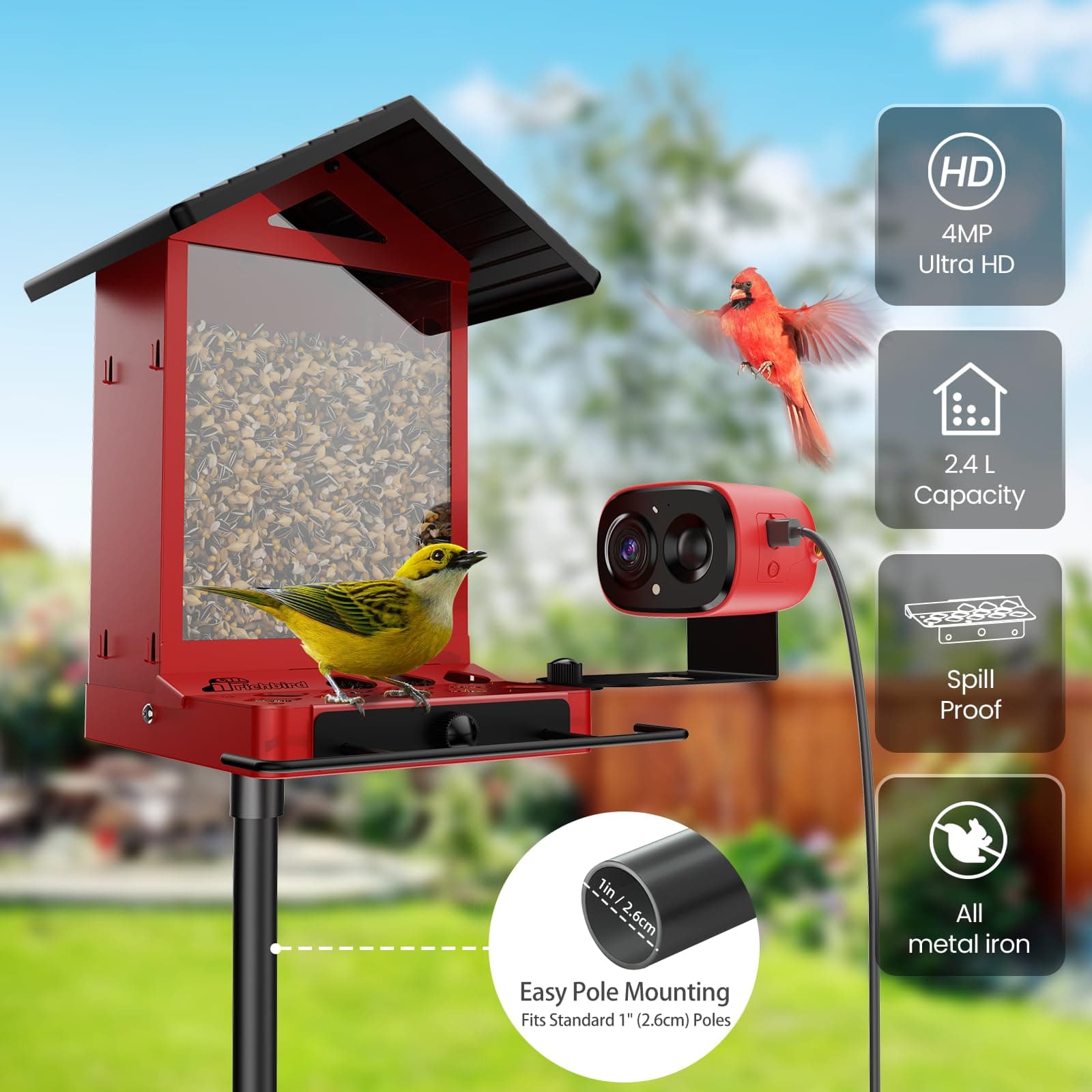 Comedero Solar Inteligente RichBird con Cámara 2.5K e IA