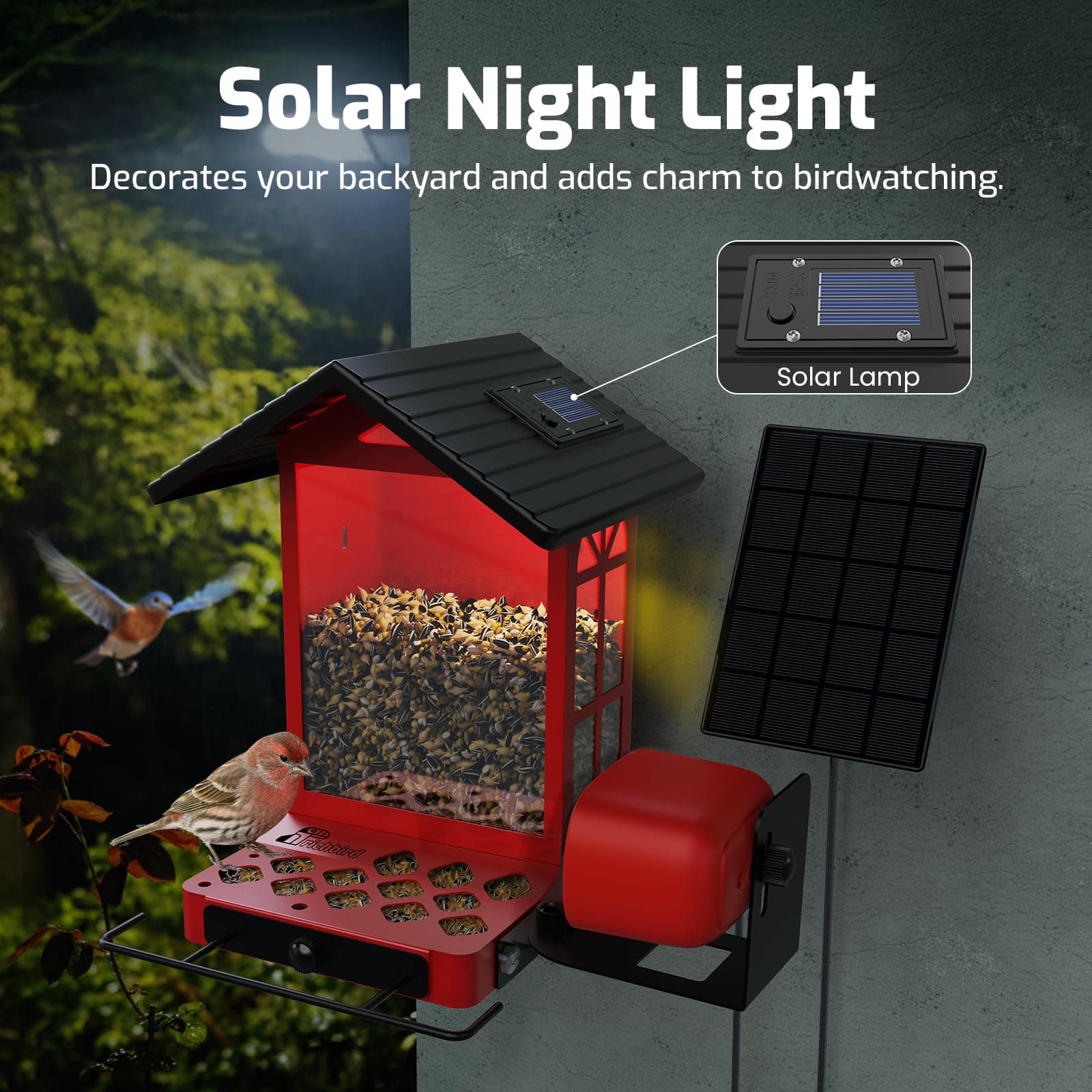 Comedero Solar Inteligente RichBird con Cámara 2.5K e IA