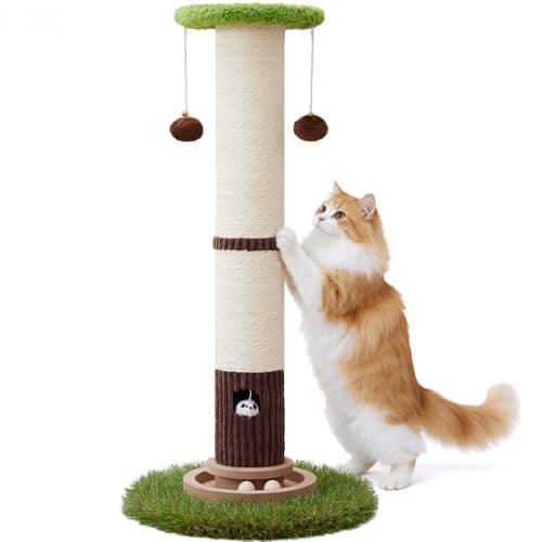 Woochpet 34" Tall Cat Scratching Posts,Heavy Duty and Thicker Cat Scratcher