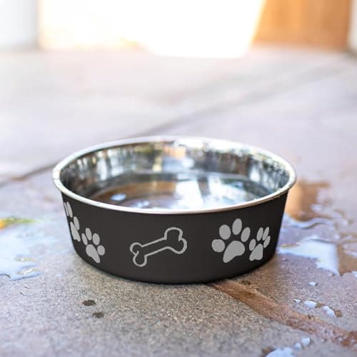 Loving Pets Bella Dog Bowls- Stainless Steel Dog & Cat Bowls - Spill Proof Dog Food Bowl, Cat Bowl, Puppy Essentials & Pet Supplies Great for Home & Travel (X-Large 65-100lbs, Espresso)