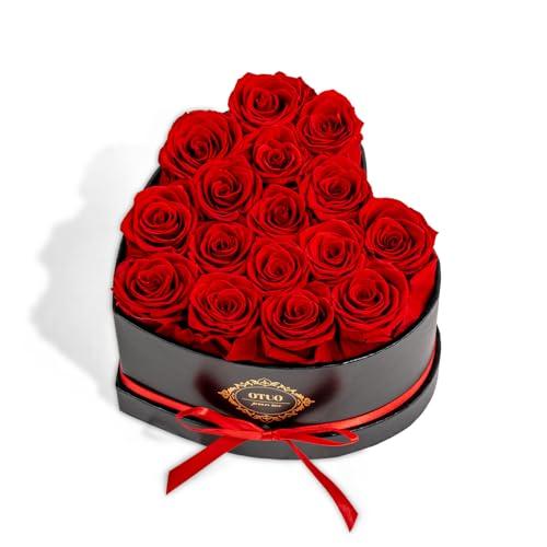 Otuo: 16 Rosas Preservadas Rojas en Caja de Corazón - ¡Duran hasta 2 Años!