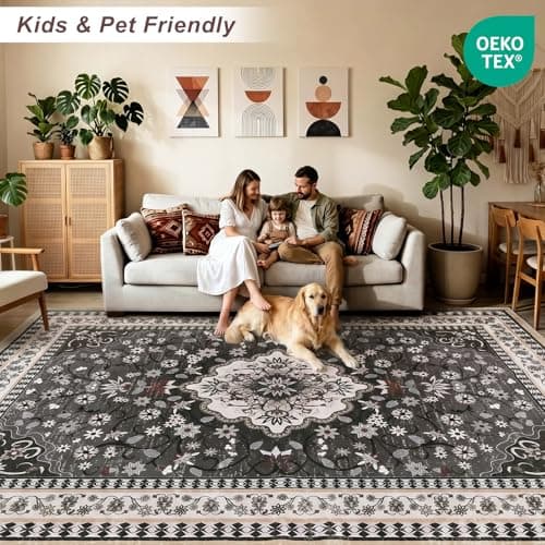 BLEUM CADE 5' x 7' Black Boho Washable Rugs for Living Room