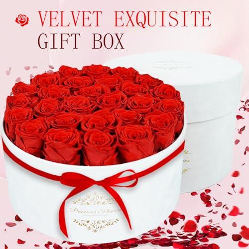 Caja de Lujo con 27 Rosas Preservadas Rojas