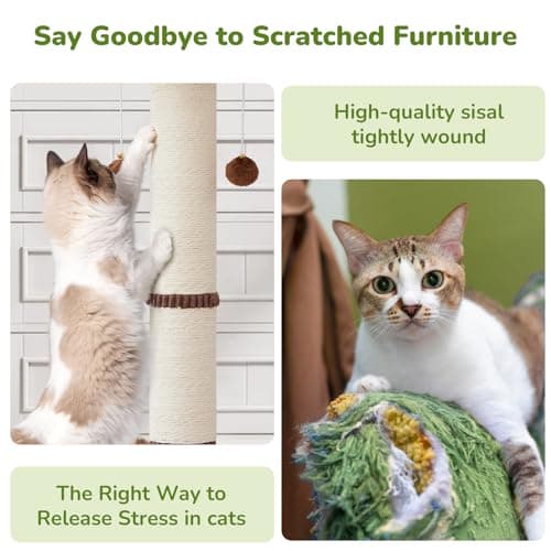 Woochpet 34" Tall Cat Scratching Posts,Heavy Duty and Thicker Cat Scratcher
